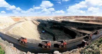 成人扒开 伸进  日本